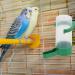 VILLCASE Bird Water Feeder Automatic Bird Water Dispenser Bird Cage Feeder and Drinker Set Bird Water Bowls Hanging in Cage Accessories for Parrots Budgie Lovebirds (Pack of 10) - Buy Online on GoSupps.com