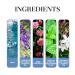 Rose Perfume for Men - Valentine's Day Sale Rose Perfume Oil Romantic Rose Roll on Perfume Oil Long Lasting Men's Cologne (3pc) - Buy Online on GoSupps.com