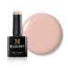 Bluesky Gel Nail Polish Lap Dance Nd12 Cantaloupe Light Orange Pale Peach Long Lasting Chip Resistant 10 ml (Requires Drying Under UV LED Lamp) Lap Dance 10 ml (Pack of 1)