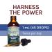 Host Defense Stamets 7 Extract Mushroom Supplement 2 fl oz - Daily Immune Support with Lion's Mane and Reishi - Pack of 1 - Buy Online on GoSupps.com