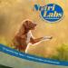 Nutrilabs Canicox HD Joint Pellets for Dogs 500g - MSM Chondroitin Hyaluronic Acid Glucosamine & Devil Claw - Premium Dog Dietary Supplements - Buy Online on GoSupps.com