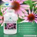 Nature's Lab Echinacea 760mg Capsules - Immune System Support - Non-GMO & Gluten-Free - 100ct - Buy Online on GoSupps.com