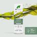 Dr Organic Ageless Overnight Recovery Oil - Moisturizing Seaweed Formula for Fine Lines & Wrinkles - Natural Vegan & Cruelty-Free - 30ml - Buy Online on GoSupps.com