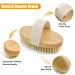 Dry Brushing Body Brush Set - Natural Bristle Exfoliating Scrub for Cellulite, Dead Skin Removal, Lymphatic Function Improvement, Blood Circulation Stimulation, and Skin Tightening - 2 PCS - Buy Online on GoSupps.com