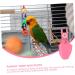 Angoily 2-Pack Parrot Diaper Flight Suit for Birds - Adjustable Uniforms with Suede Wavy Belt - Ideal for Nymphensittich & Pets - Buy Online on GoSupps.com