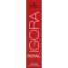 Schwarzkopf Igora Royal Dye 4-0 Mittelbraun 60g - Pack of 1 - Buy Online on GoSupps.com