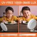 UV-Free Light Therapy Lamp | 10000-38600 Lux LED Daylight Sun Lamp | 3 Color Temperature Options | 10 Brightness Levels | 75 Rotatable Stand | Ideal for Rainy Season | Orange - Buy Online on GoSupps.com