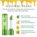 Aloe Vera Lipstick Set | Long Lasting Moisturizing Lip Balm | Nourishing & Color Changing | Waterproof Matte Lip Gloss | 5 Pack - Buy Online on GoSupps.com