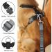 Buy Slowton Dog Harness with Seat Belt - Breathable Latex Puppy Safety Harness for Car & Everyday Sports (Dark Gray Large) - Buy Online on GoSupps.com