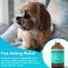 PupRepublic Fast Acting dog diarrhea treatment - Digestive Disorders - More Effective than Kaolin - Sickness & Allergy Relief for Dogs of All Breeds & Sizes 250 ml (Pack of 1) - Buy Online on GoSupps.com