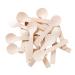Gmark 4" Mini Wooden Spoons 100 ct, Biodegradable Compostable Birchwood (100pcs/bag) GM1042A