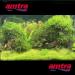 Amtra Oriental Wind 4 Wood Handmade Aquarium Decoration 23x10x17 cm - Buy Online on GoSupps.com