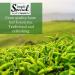 Simpli-Special Plum Kombucha Sencha Green Loose Leaf Tea 100g | Refreshing Hunan Province Green Tea with Sweet Fruity Flavor | Hot or Iced | Resealable Pouch - Buy Online on GoSupps.com