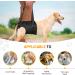 ChalkLit Dog Lift Harness - Supportive Sling for Small to Large Dogs with Back Leg Injuries - Buy Online on GoSupps.com