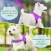 Eyein No-Pull Dog Harness with Leash - Soft Padded Reflective Adjustable for Puppies Small & Large Dogs Cats - Purple XS - Buy Online on GoSupps.com