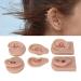 Silicone Ear Piercing Practice Model - 3 Pairs Soft & Flexible Human Ear Display for Jewelry | Ideal for Tattoo & Piercing Artists - Buy Online on GoSupps.com