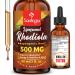 57,000 MG Liposomal Active Rhodiola Rosea Supplement with Ashwagandha, Liquid for High Absorption, Rhodiola Rosea Root Extract Tincture for Energy, Stress, Mood, Vegan, Sugar & Gluten-Free, 60 ml 2 Fl Oz (Pack of 1)