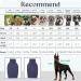 Iecoii Blue Dog Sweater - Cozy Turtleneck for Small to Large Dogs | Winter Clothing for Chihuahua French Bulldog Labrador & More - Buy Online on GoSupps.com