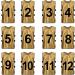 TOPTIE Numbered Training Vests Set (#13-24) - Pack of 12 Soccer Pinnies - Buy Online on GoSupps.com