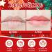DMSKY Christmas Lip Balm Bulk 60 Pcs Christmas Stocking Stuffers Ideal Christmas Gifts for Women Men Christmas Party Favors for Teachers Coworkers-Santa Claus - Buy Online on GoSupps.com