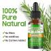 100% Pure Natural Rosemary Oil - Multipurpose Hair Oil for Growth Nourishing Scalp & Strengthening Hair - Buy Online on GoSupps.com