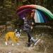 Reflective Waterproof Dog Raincoat - Adjustable Rain Jacket for Small Dogs | Durable Rain Cape with Hood - Buy Online on GoSupps.com