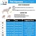 Personalized Pawpawify Dog Harness - Anti-Pull & Durable - XS Sky Blue (Chest 17-22in) for Training & Walking - Buy Online on GoSupps.com