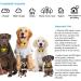 AngelaKerry Wireless Dog Fence System with GPS Outdoor Pet Containment System Rechargeable Waterproof Collar 850YD Remote for 15lbs-120lbs Dogs (1pc GPS Receiver by 1 Dog) - Buy Online on GoSupps.com