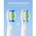 Buy 4 Replacement Heads for Bitvae Sonic Toothbrush Daily D2 Enhanced Oral Care International Shipping Available - Buy Online on GoSupps.com