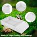 Tortoise Water Dish Reptile Water Food Bowls with Anti-Slip Ramp Tortoise Bath Dish Reptile Feeding Box Dish Plastic Tortoise Water Bowl Tortoise Habitat Accessories for Basking Feeding Bathing Small: 30.5x14.8x5.8cm Granite Color - Buy Online on GoSupps.com