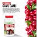 Greens+ Organic Reds Superfood Powder Camu Camu Dietary 400mg Vitamin C SuperFruit Supplement 120 Capsules 100% Natural Vitamins & Minerals Vegan Soy/Dairy/Gluten Free - Buy Online on GoSupps.com