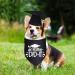 2023 Black Dog Graduation Cap and Bandana Set - Perfect Dog Graduation Gift with 'My Mommy Did It' Design - Buy Online on GoSupps.com