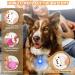 3 Pack LED Dog Collar Light Light Up Dog Collars Clip-On LED Dog Tag Light for Dog Collar 3 Light Modes Dog Lights for Night Walking Running Camping Climbing - Buy Online on GoSupps.com