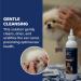 Dr. Jeff Werber Hear Ya Now Pet Ear Cleaner | Gentle Ear Wash for Dogs & Cats | Odor Reducing Non-Irritating Formula | 8 oz - Buy Online on GoSupps.com