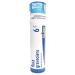 Boiron Single Remedies Ruta Graveolens 6C Approx 80 Pellets