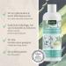 AniForte Fellharmonie Dog Shampoo Sensitive with Aloe Vera 200ml - Gentle Care for Sensitive Dogs Easy-Combing Fur Dye & Perfume-Free - Buy Online on GoSupps.com