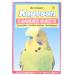 AB Tools 10 Sanded Sheets Sandpaper Cage Lining for Budgies and Caged Birds 28x43cm - Buy Online on GoSupps.com