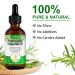 100% Pure Rosemary Oil for Hair Growth - Natural Essential Oil for Scalp Eyebrows & Eyelashes Nourishment - 60ml - Buy Online on GoSupps.com