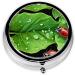 Decorative Round Pill Box with Leaves & Ladybugs - 3 Compartment Travel Organizer for Pills Vitamins & Tablets - Buy Online on GoSupps.com