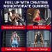 Buy Creatine Monohydrate Gummies - 5g Chewable Supplement for Strength Growth & Energy | Taurine & B6 | Low Sugar Organic | 2 Pack 60 Count - Buy Online on GoSupps.com