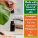 APR Balm Liniment #21 - 16 FL OZ Relief for Back Neck & Joints | Fast-Acting Eucalyptus & Peppermint Lotion | American Made Family Owned - Buy Online on GoSupps.com
