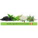 Elderberry Syrup for Adults IMMUNIA. Elderberry Concentrate with Elderflower Thyme and Peppermint. No Sugar Added. Delicious Taste. 24 Days/Bottle - Buy Online on GoSupps.com