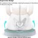 SPEEDWOW Hemorrhoid Donut Pillow - Ergonomic Design for Coccyx, Sciatica & Postpartum Pain Relief - Memory Foam Cushion (Green) - Buy Online on GoSupps.com