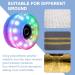 Tanzfrosch 8 Pack Luminous Quad Roller Skate Wheels with Bearings - 82A 32mm x 58mm - Ideal for Double Row Skating and Skateboard - A-Multicolor - Buy Online on GoSupps.com