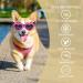 KINBOM Sunglasses for Small Dogs Dog Windproof Glasses Adjustable High-Elastic Heart Shape Goggles Dog Sunglasses Sun-Proof Waterproof Dustproof Pet Glasses Dog Eyewear Protection Pink - Buy Online on GoSupps.com
