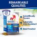LABO Nutrition GASTRICELL - Natural Treatment for H. Pylori, Acid Reflux & Heartburn - Buy Online on GoSupps.com