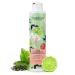 Jean & Len Green Tea & Lime Freshness Shampoo, for normal to oily hair, protects against dehydration, balancing care, paraben and silicone free, vegan, 300 ml