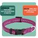 Premium Reflective Dog Collar - Adjustable Nylon for Small & Large Dogs | Many Colors & Sizes - XS Purple (21-30 cm) - Buy Online on GoSupps.com