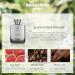 MAJESTY S SECRET PHEROMAX Mens Cologne Sampler Gift Sets High End Perfume Samples for Men Travel Size Perfumes Long Lasting Fragrance for Men Edp Eau De Parfum Spray 3.4 Oz (TAN Silver Vetiver) - Buy Online on GoSupps.com