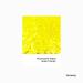 Hemway Premium Ultra Sparkle Glitter - Fluorescent Yellow Super Chunky Flake for Arts Cosmetics & Festivals - 100g / 3.5oz - Buy Online on GoSupps.com